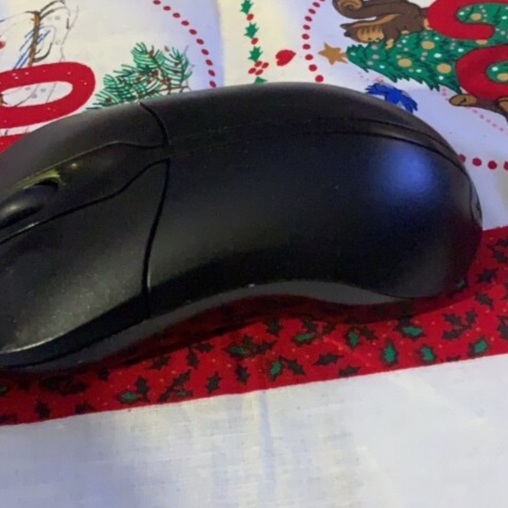 Mouse - Picture 5 of 5